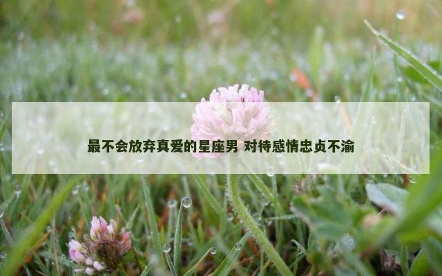 最不会放弃真爱的星座男 对待感情忠贞不渝