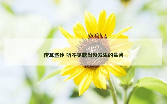 掩耳盗铃 听不见就当没发生的生肖