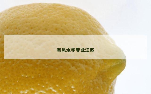 有风水学专业江苏