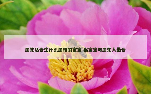 属蛇适合生什么属相的宝宝 猴宝宝与属蛇人最合