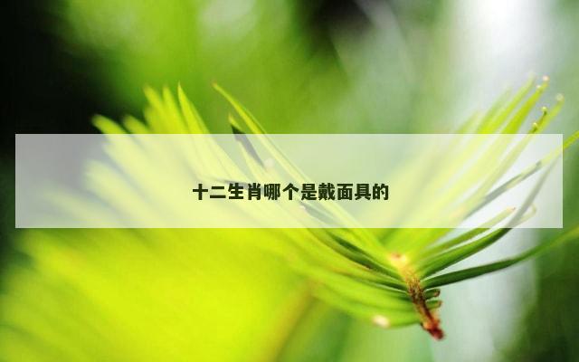 十二生肖哪个是戴面具的