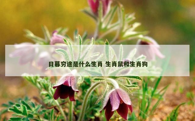 日暮穷途是什么生肖 生肖鼠和生肖狗