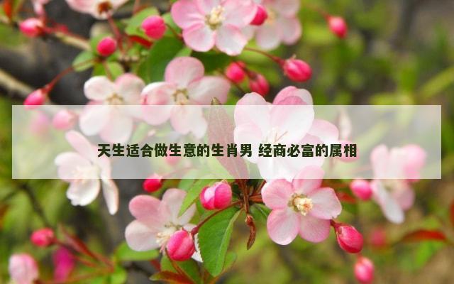 天生适合做生意的生肖男 经商必富的属相
