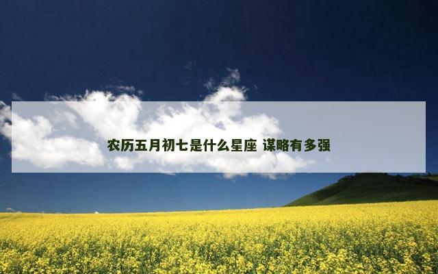 农历五月初七是什么星座 谋略有多强