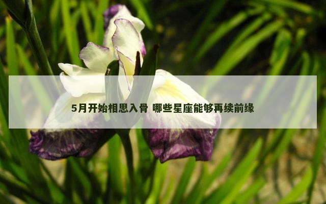 5月开始相思入骨 哪些星座能够再续前缘
