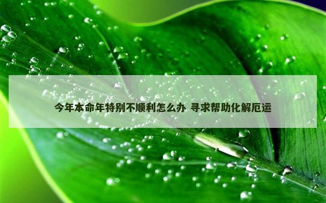 今年本命年特别不顺利怎么办 寻求帮助化解厄运