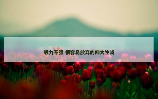 毅力不强 很容易放弃的四大生肖