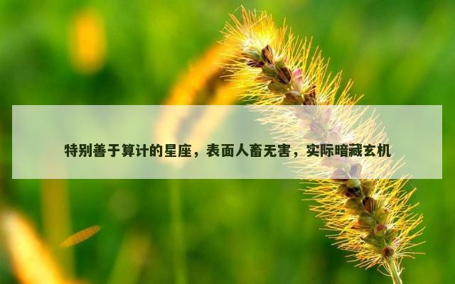 特别善于算计的星座，表面人畜无害，实际暗藏玄机