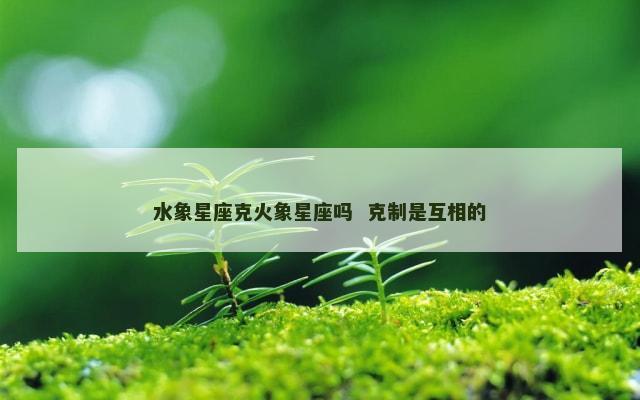 水象星座克火象星座吗  克制是互相的