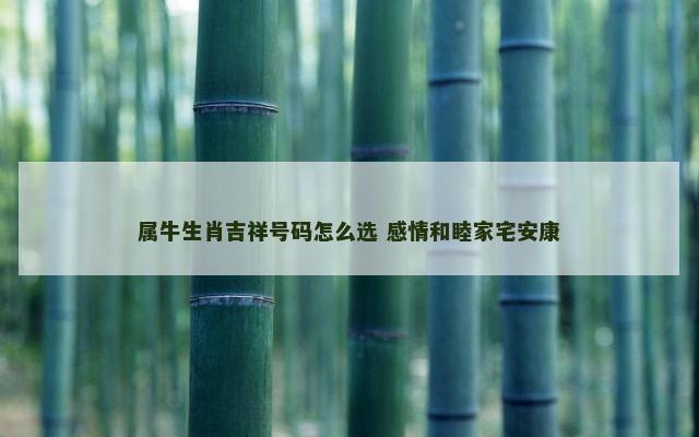 属牛生肖吉祥号码怎么选 感情和睦家宅安康