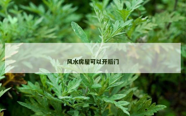风水房屋可以开后门