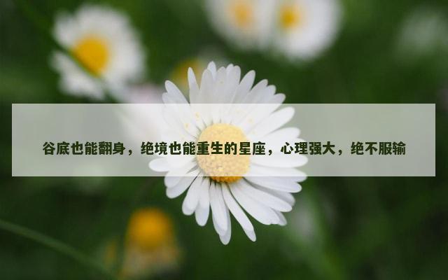 谷底也能翻身，绝境也能重生的星座，心理强大，绝不服输