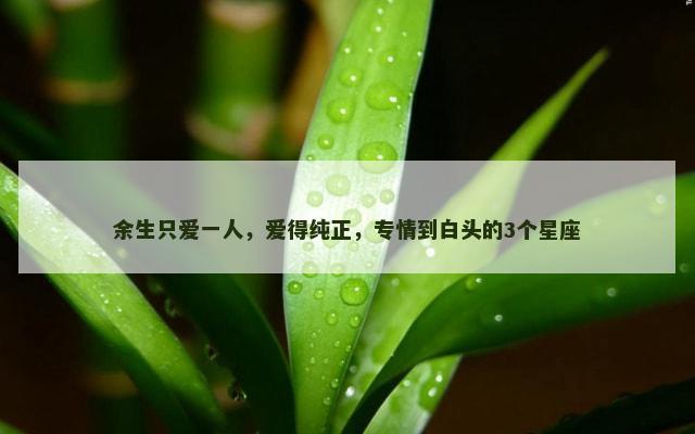 余生只爱一人，爱得纯正，专情到白头的3个星座