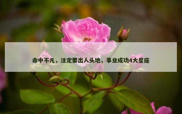 命中不凡，注定要出人头地，事业成功4大星座