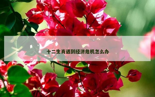 十二生肖遇到经济危机怎么办