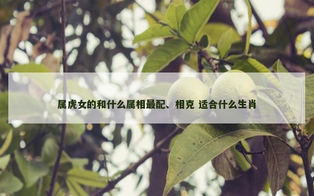 属虎女的和什么属相最配、相克 适合什么生肖