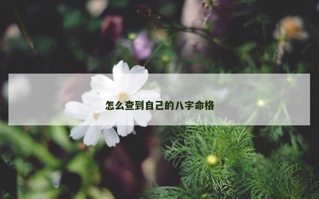 怎么查到自己的八字命格