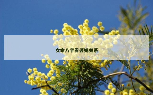 女命八字看婆媳关系