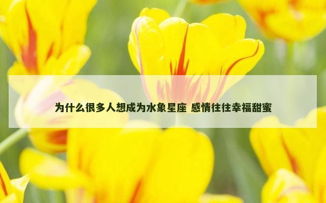 为什么很多人想成为水象星座 感情往往幸福甜蜜