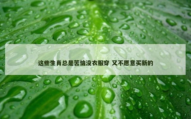 这些生肖总是苦恼没衣服穿 又不愿意买新的