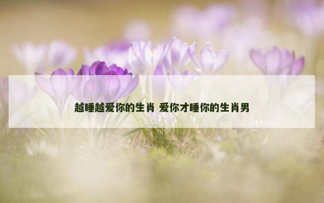 越睡越爱你的生肖 爱你才睡你的生肖男