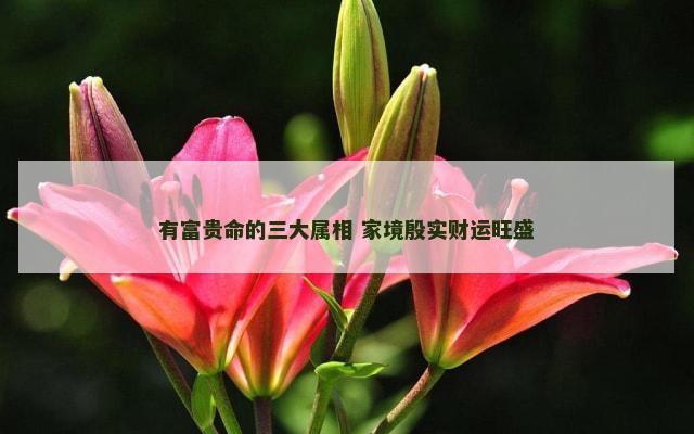 有富贵命的三大属相 家境殷实财运旺盛