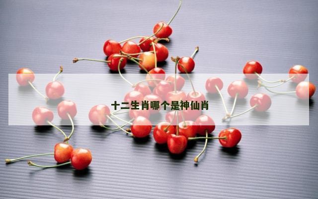 十二生肖哪个是神仙肖