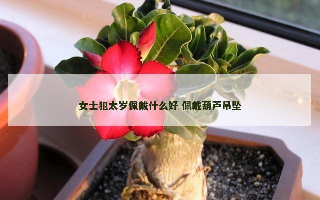 女士犯太岁佩戴什么好 佩戴葫芦吊坠
