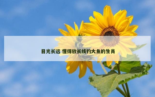 目光长远 懂得放长线钓大鱼的生肖