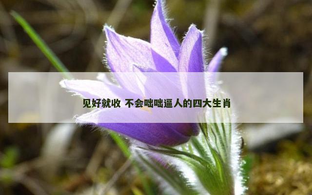 见好就收 不会咄咄逼人的四大生肖