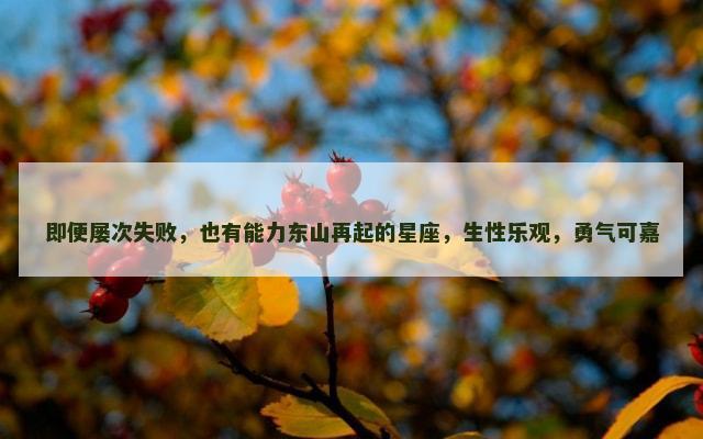 即便屡次失败，也有能力东山再起的星座，生性乐观，勇气可嘉