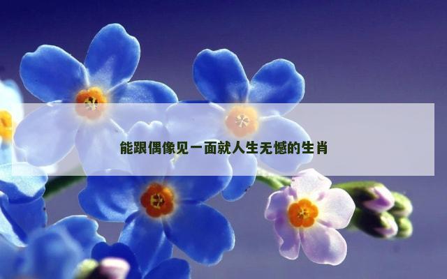 能跟偶像见一面就人生无憾的生肖