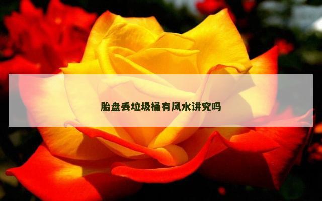 胎盘丢垃圾桶有风水讲究吗