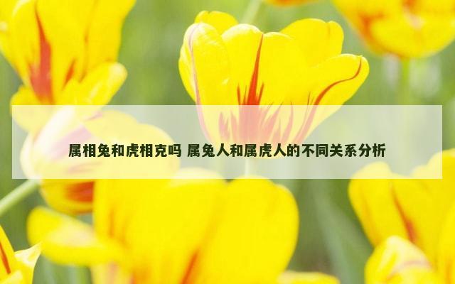 属相兔和虎相克吗 属兔人和属虎人的不同关系分析