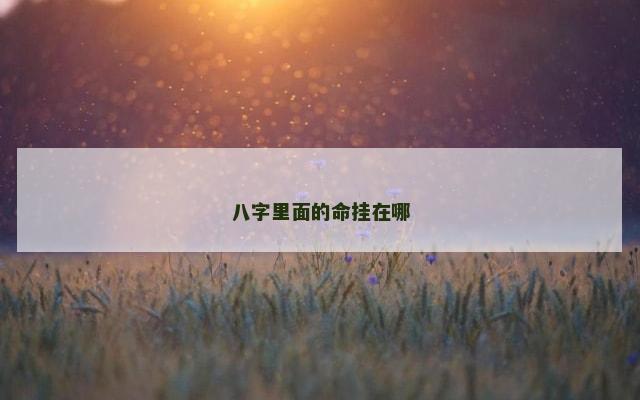 八字里面的命挂在哪