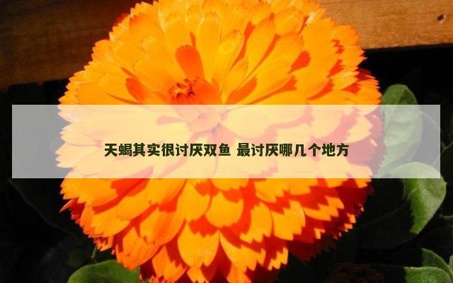 天蝎其实很讨厌双鱼 最讨厌哪几个地方