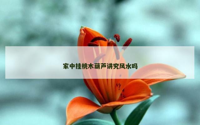 家中挂桃木葫芦讲究风水吗