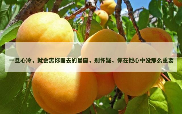 一旦心冷，就会离你而去的星座，别怀疑，你在他心中没那么重要