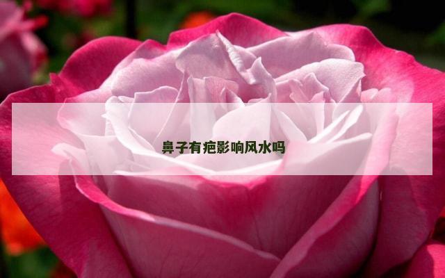 鼻子有疤影响风水吗
