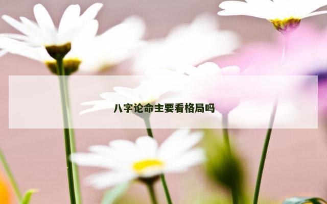 八字论命主要看格局吗