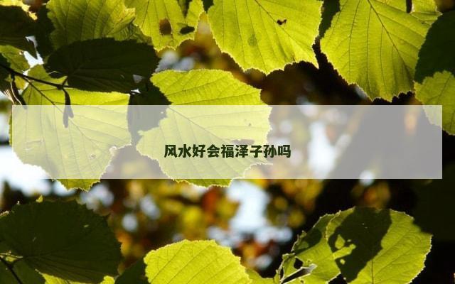 风水好会福泽子孙吗
