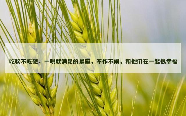 吃软不吃硬，一哄就满足的星座，不作不闹，和他们在一起很幸福
