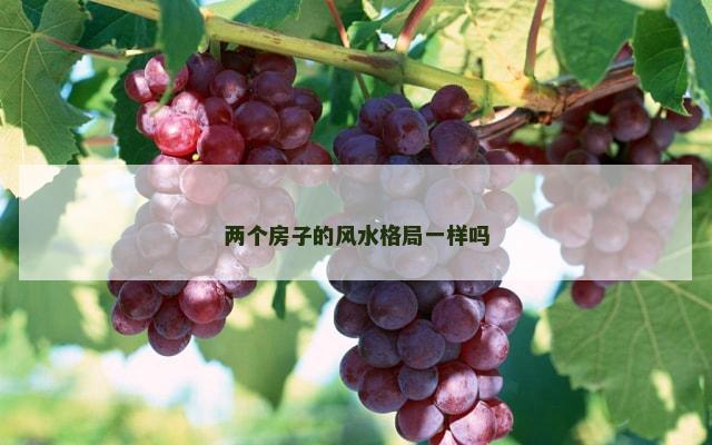 两个房子的风水格局一样吗
