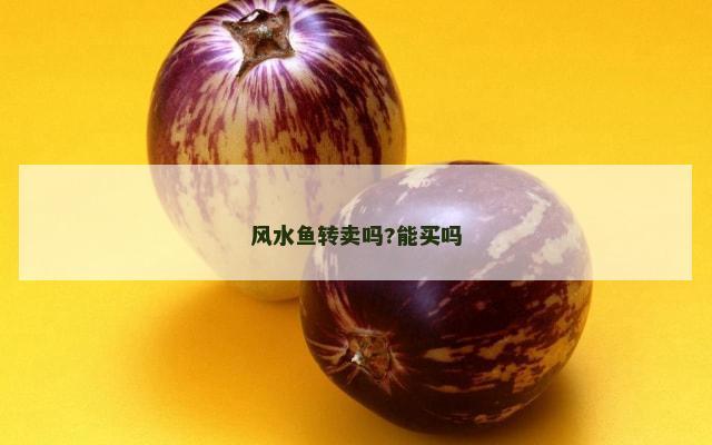 风水鱼转卖吗?能买吗
