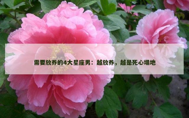 需要放养的4大星座男：越放养，越是死心塌地