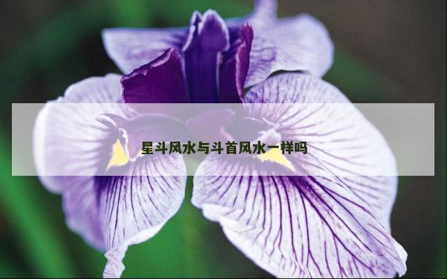星斗风水与斗首风水一样吗