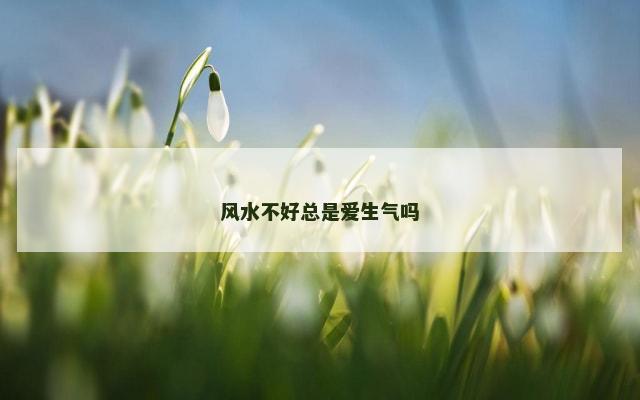 风水不好总是爱生气吗