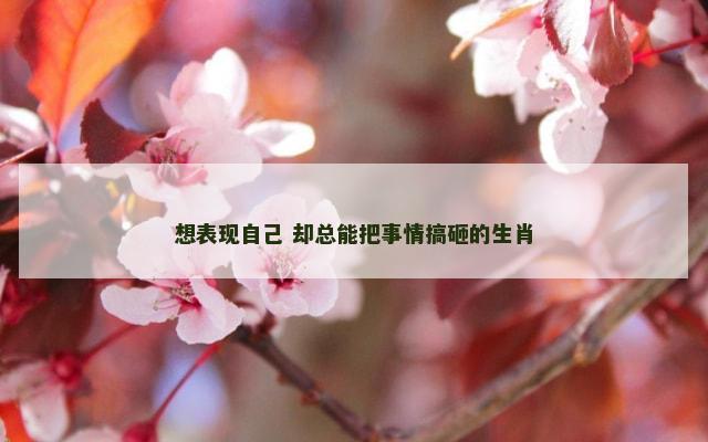想表现自己 却总能把事情搞砸的生肖