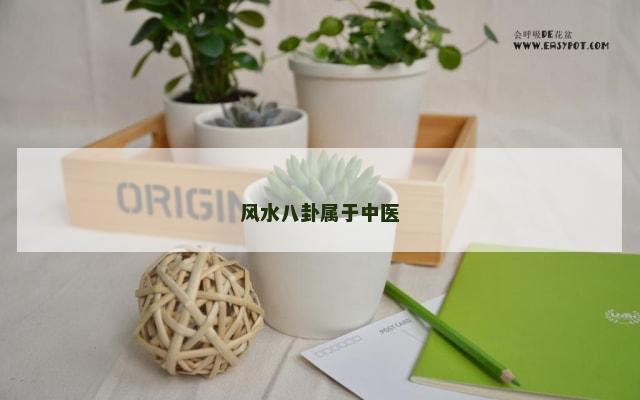风水八卦属于中医