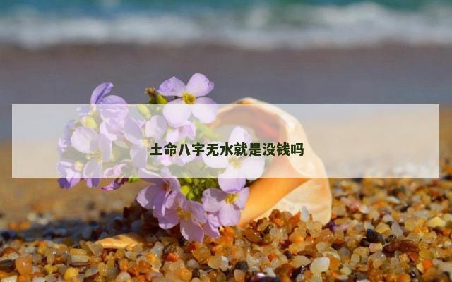 土命八字无水就是没钱吗